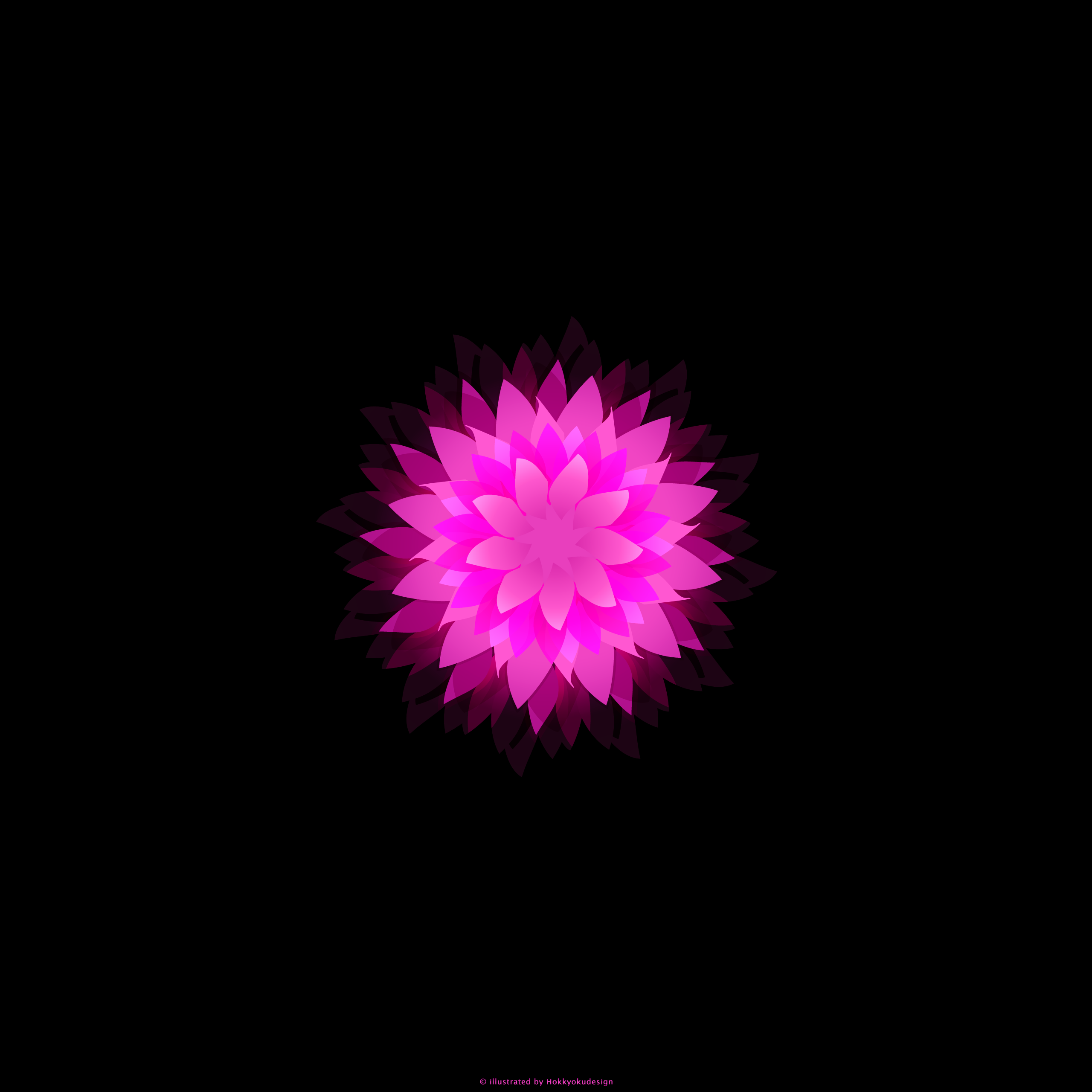iPhone6,6 Plus用花の壁紙