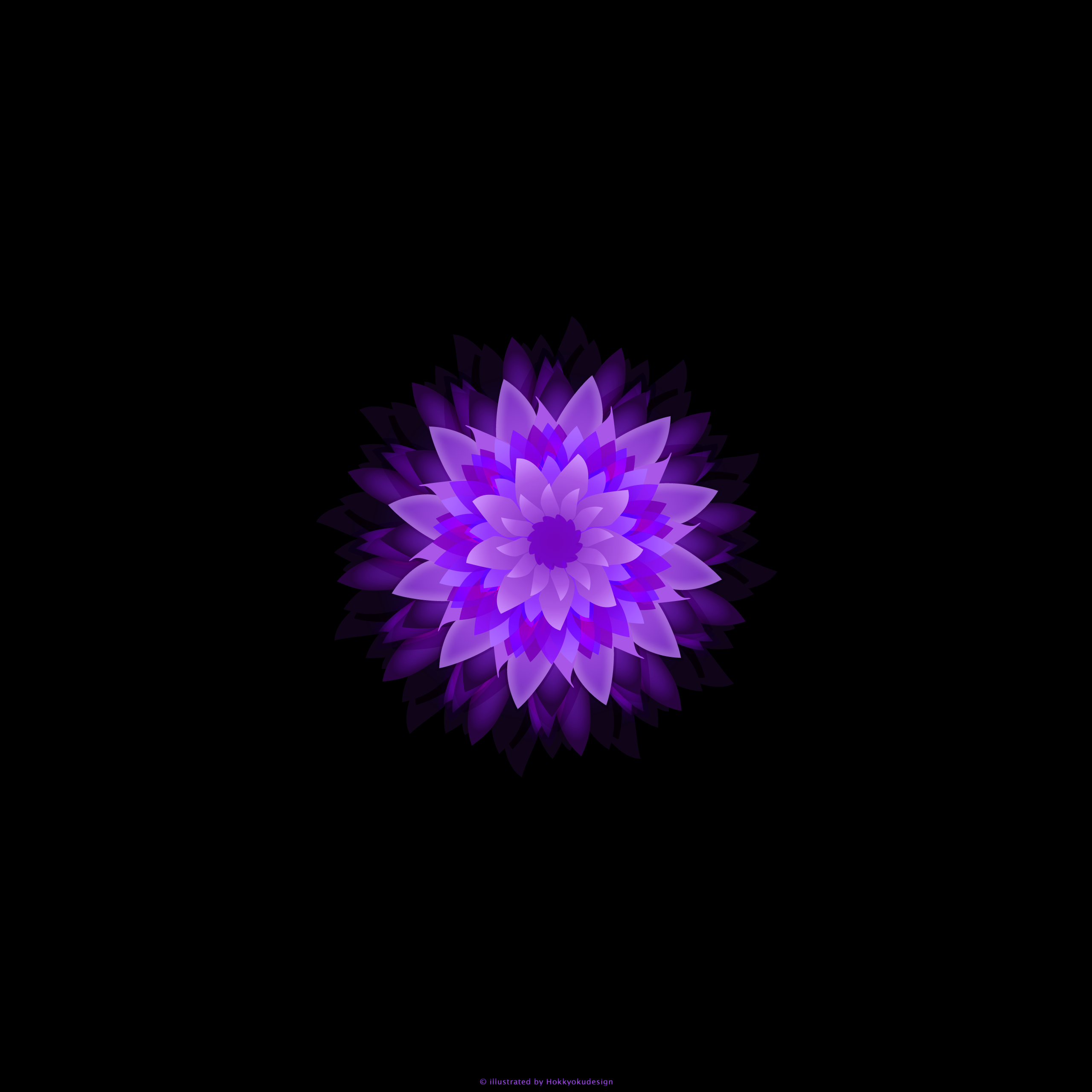 iPhone6,6 Plus用紫色の花の壁紙
