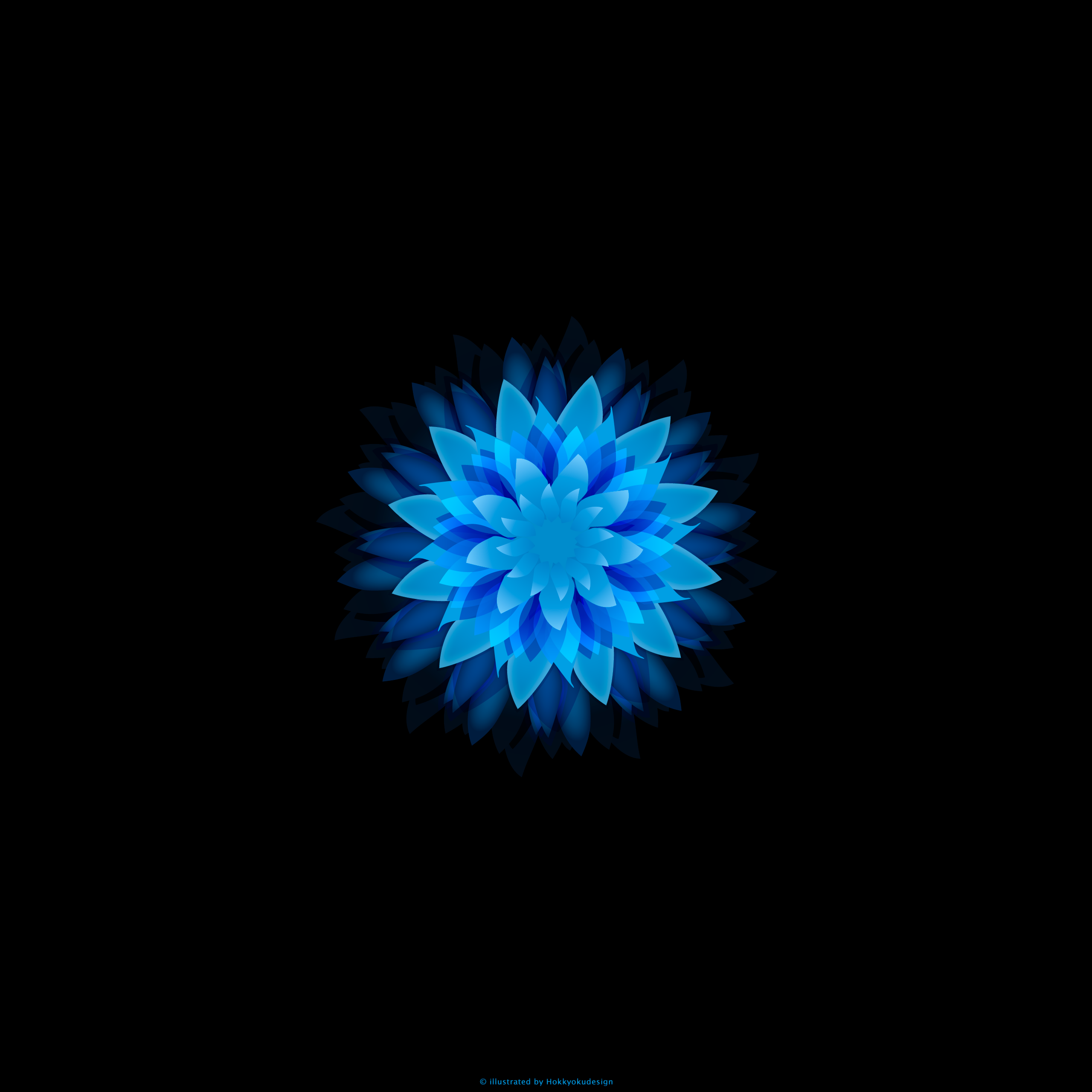 iPhone6,6 Plus用青色の花の壁紙
