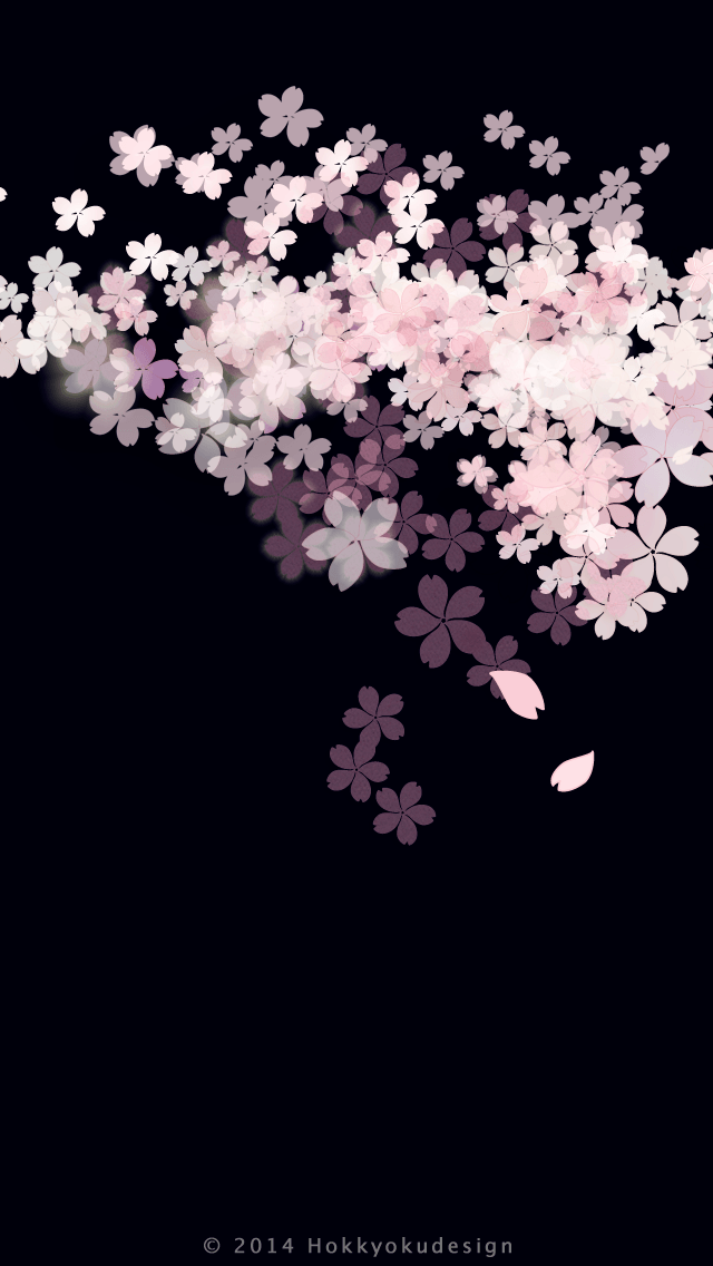iPhone 日本の壁紙　3分咲き夜桜　白背景待受け壁紙