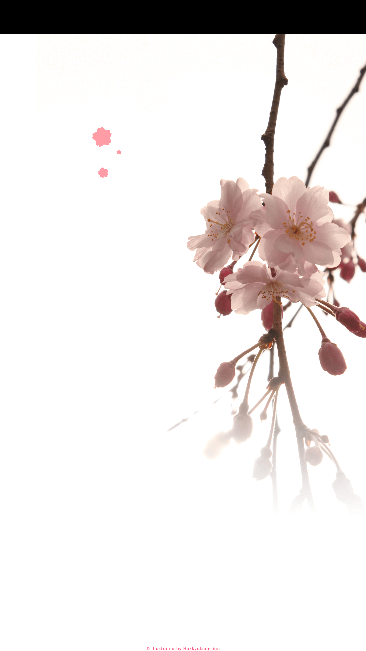 iPhone、Android用桜の壁紙